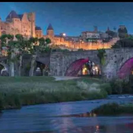 Appartement T2 Avec Vue Chateau Carcassonne Extérieur photo