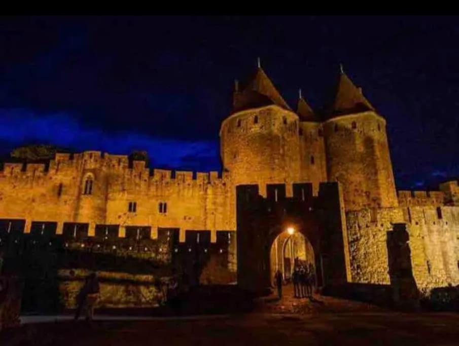 Appartement T2 Avec Vue Chateau Carcassonne Extérieur photo