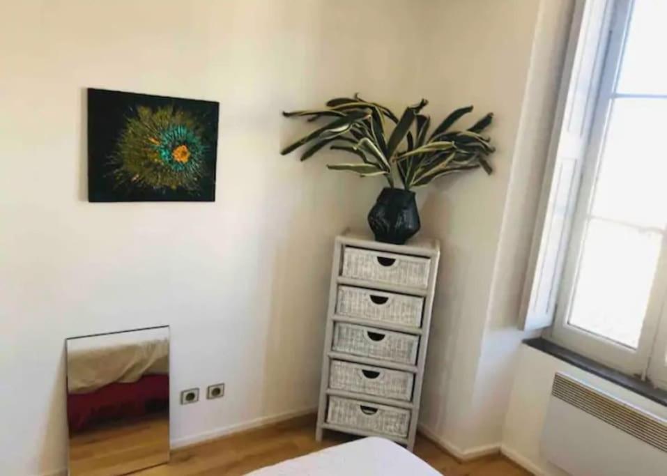 Appartement T2 Avec Vue Chateau Carcassonne Extérieur photo