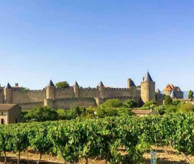 Appartement T2 Avec Vue Chateau Carcassonne Extérieur photo